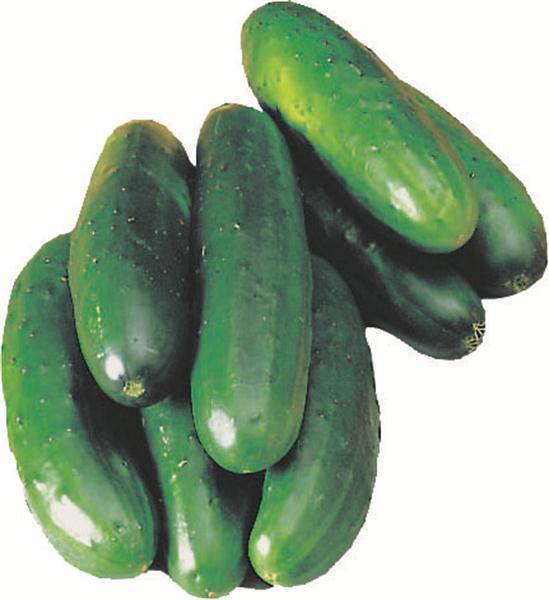 Organic Seedless Cucumber Products Lowes Foods To Go Local And