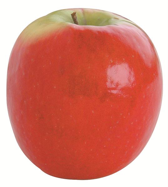 Washington Pink Lady Apples