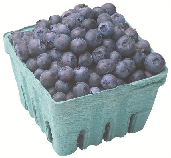 Blueberries 1 Pint