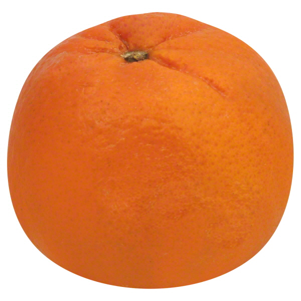 Florida Autumn Honey Tangerines