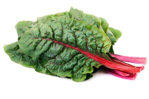 Organic Red Swiss Chard