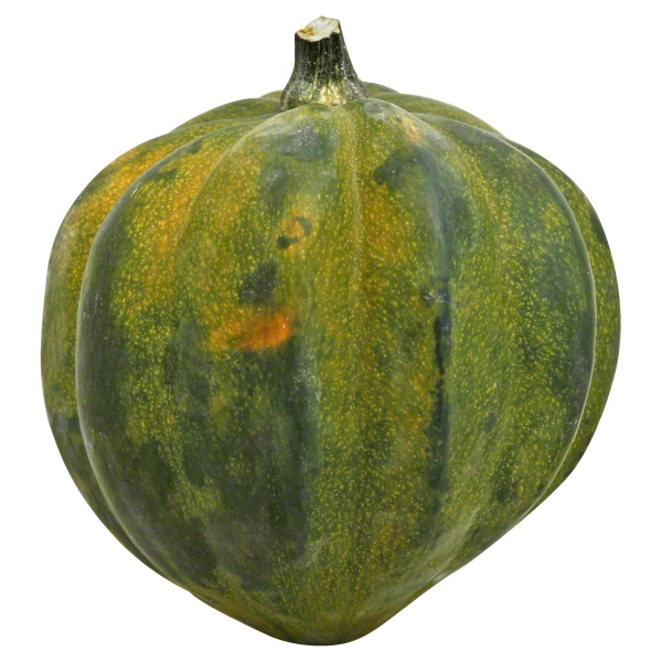 Organic Acorn Squash